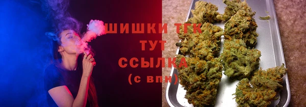 индика Богородицк