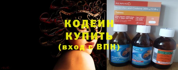 индика Богородицк