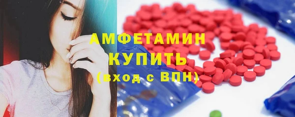 индика Богородицк