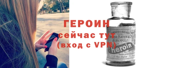 индика Богородицк