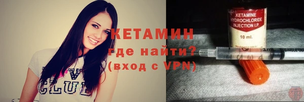 индика Богородицк