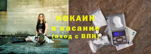 крисы Новокубанск