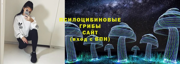 дживик Навашино
