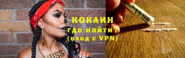 индика Богородицк