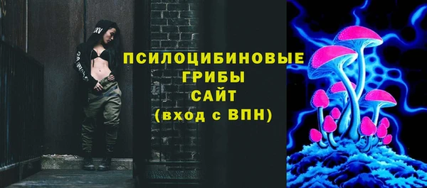 индика Богородицк