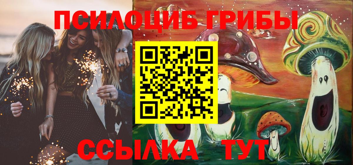 Вязники  Псилоцибиновые грибы GOLDEN TEACHER  Вход с VPN 