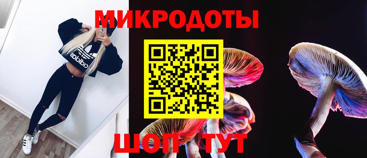 Псилоцибиновые грибы Magic Shrooms Вязники