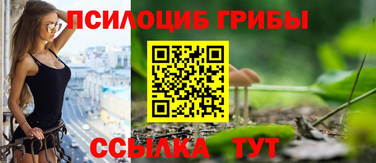 Галлюциногенные грибы мицелий  наркотики  Вязники 